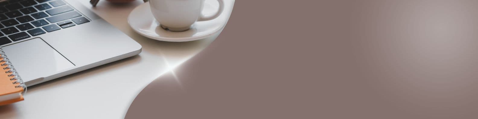 Banner 2